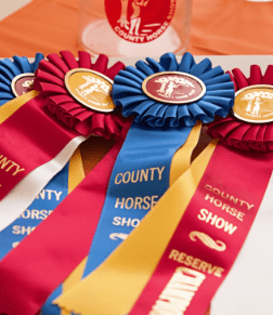 Awards & Recognition